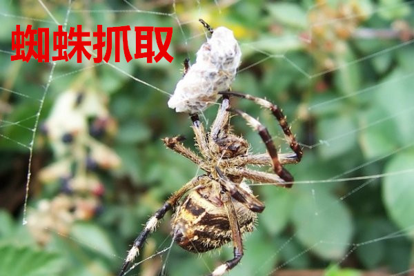 CNC数控机床自动化流水线系统的制作方法