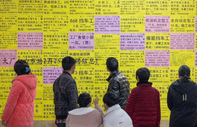 大厂人力市场2月25日招聘信息！