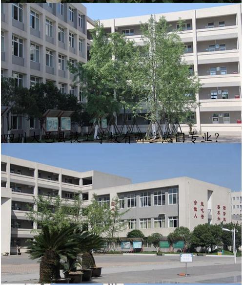 四川大邑县技工学校有哪些热门专业？