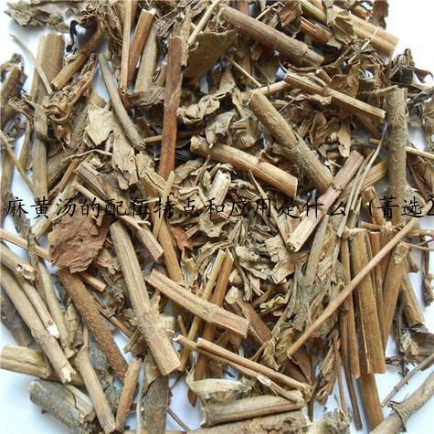 麻黄汤的配伍特点和应用是什么 (菁选2篇)