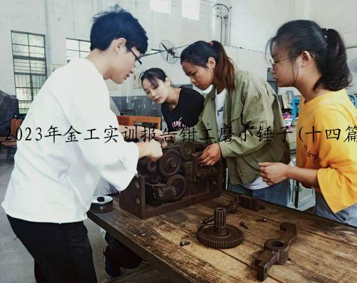 2023年金工实训报告钳工磨小锤子(十四篇)